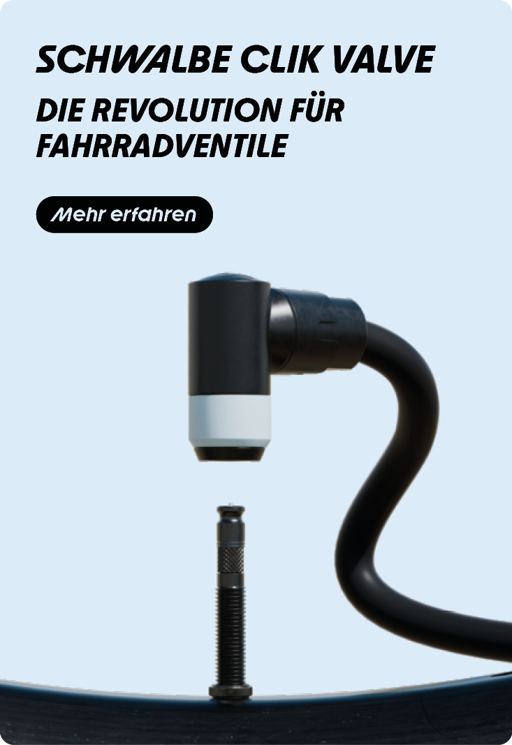 Elektrisches Gerät, Mikrophon, Adapter, Elektronik