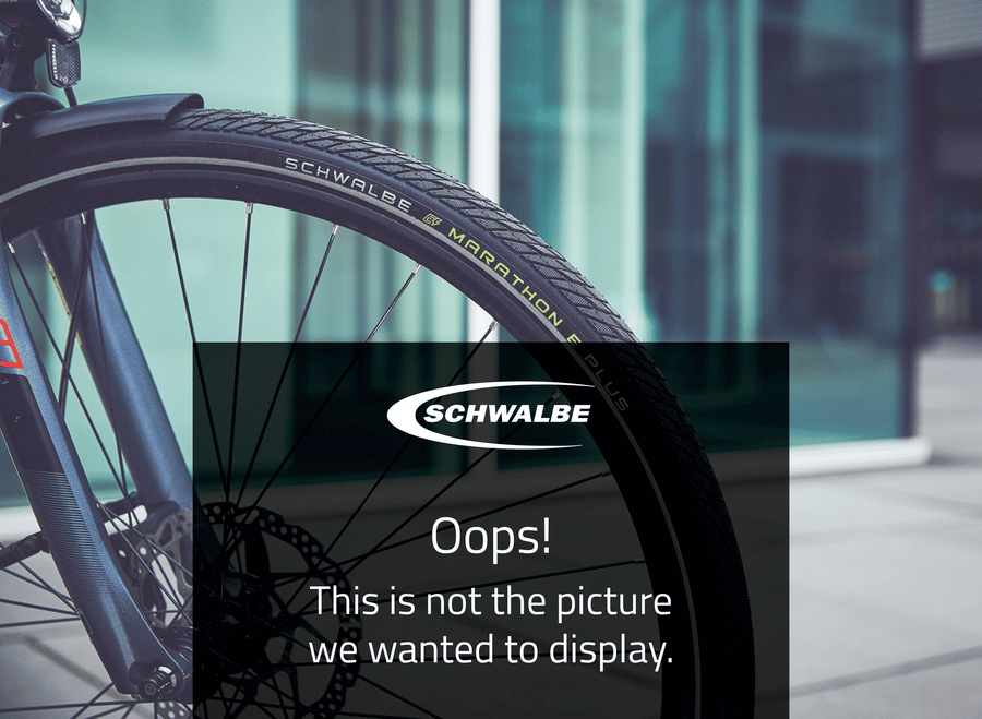 Schwalbe One 365